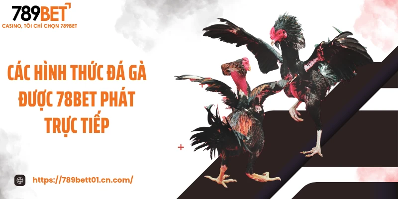 Các hình thức đá gà được 78BET phát trực tiếp