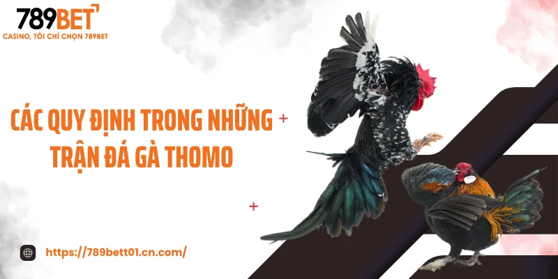 Các quy định trong những trận đá gà thomo