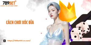 Cách Chơi Xóc Đĩa - Bắt Cầu Chẵn Lẻ Chuẩn, Thắng Liền Tay