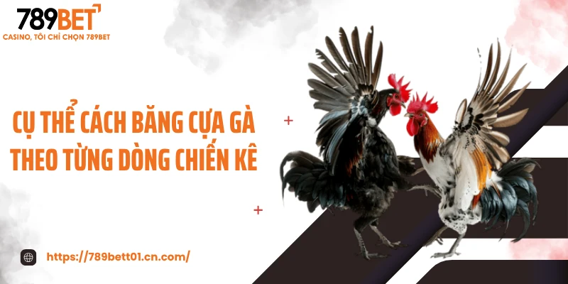 Cụ thể cách băng cựa gà theo từng dòng chiến kê