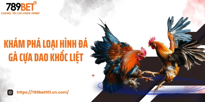 Khám phá loại hình đá gà cựa dao khốc liệt
