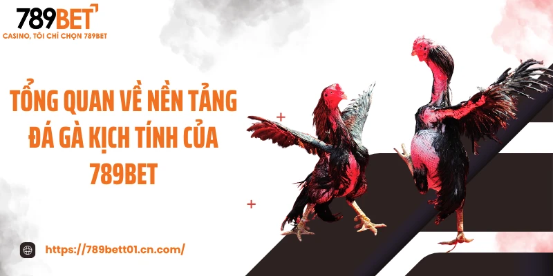 Tổng quan về nền tảng đá gà kịch tính của 789BET