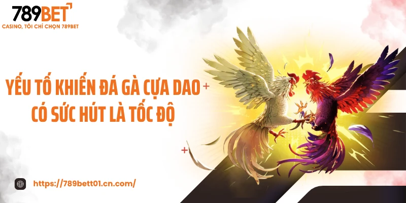 Yếu tố khiến đá gà cựa dao có sức hút là tốc độ